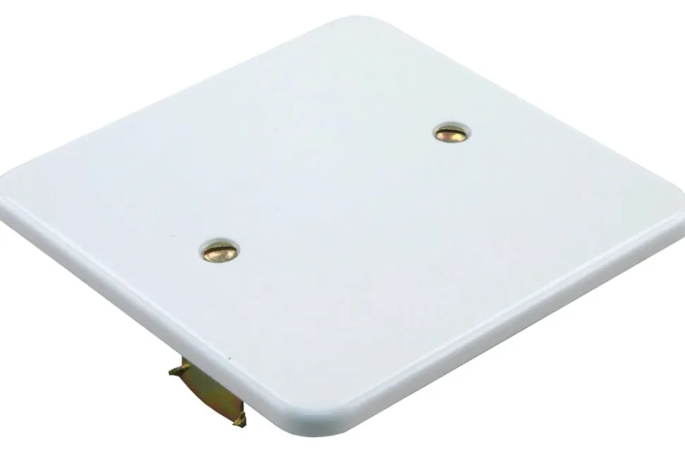 Blindplaat Universeel PolarWit 82x82mm
