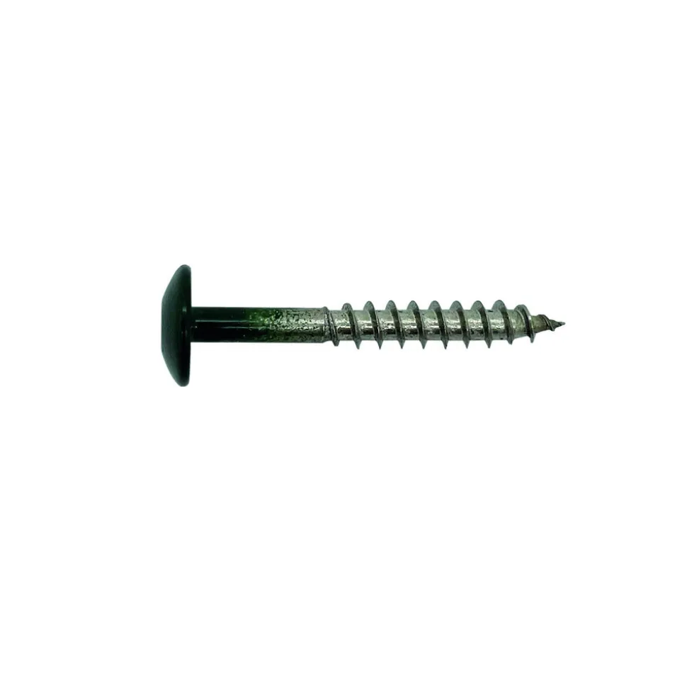 Bouwmaat HPL Schroef RVS Donkergroen 4,8x38mm T20 100st