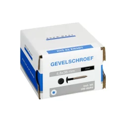 Bouwmaat HPL Schroef RVS Zwart T20 100st