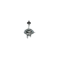 Carpoint Gloeilampenset H4 30-Delig