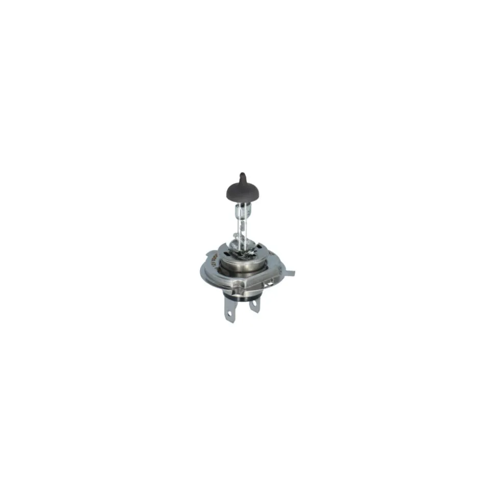 Carpoint Gloeilampenset H4 30-Delig