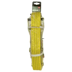 Carpoint Spanband Met Ratel En Vingerhaken 50mm 9m