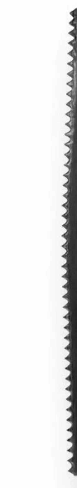 Fein Zaagblad E-Cut Curved 50mm