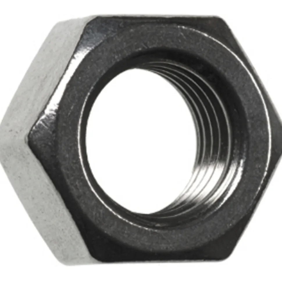 FIS Profi Moer Zeskant RVS A2 10x8mm 25st