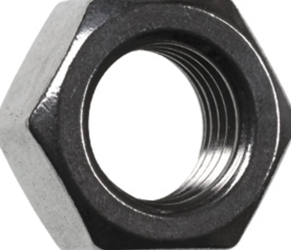 FIS Profi Moer Zeskant RVS A2 6x5mm 75st