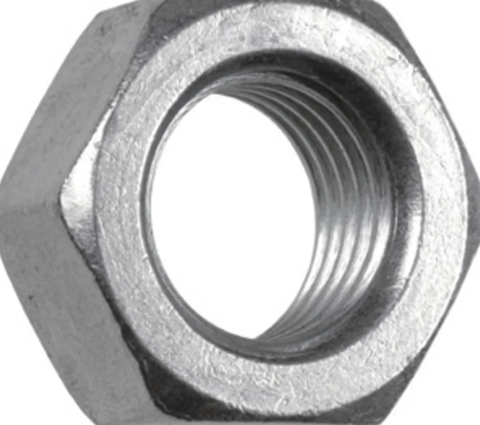 FIS Profi Moer Zeskant Verzinkt 5x4mm 100st