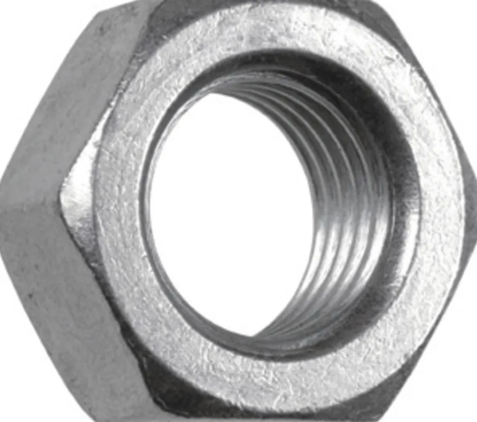 FIS Profi Moer Zeskant Verzinkt 10x8mm 100st
