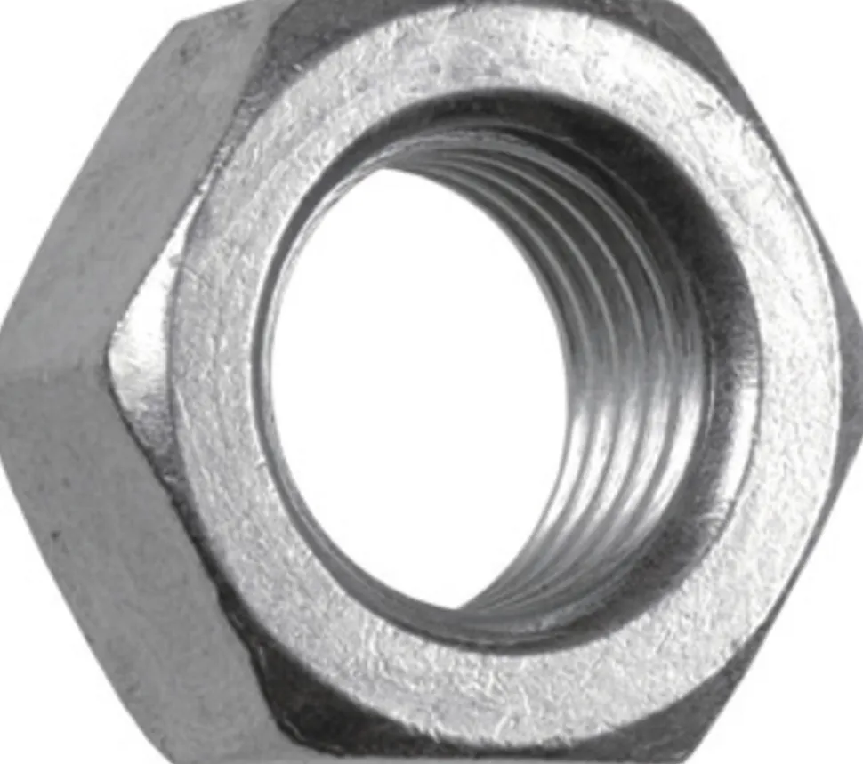FIS Profi Moer Zeskant Verzinkt 4x3,2mm 250st