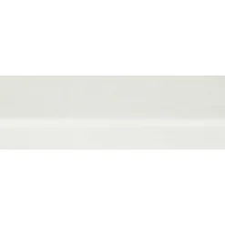 Glaslat DHNL40 Hardhout Wit Gegrond 18x55x4000mm FSC Mix 70%