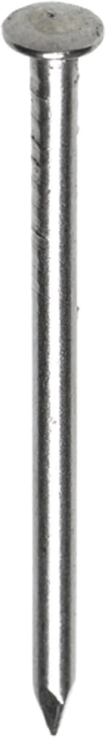 HJZ Profi Nagel Bombé Kop RVS