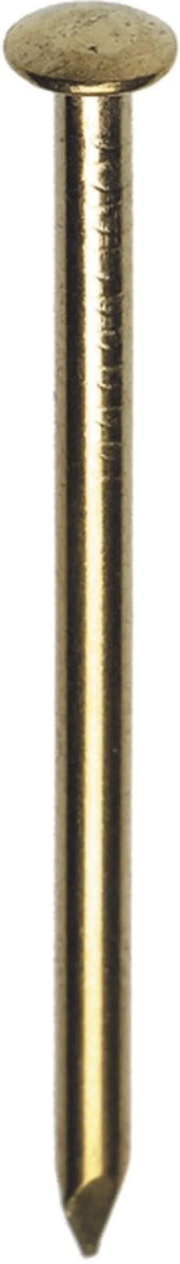 HJZ Profi Nagel Messing Bombé Kop 1,5x20mm 1000st