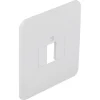 Peha Standaard Afdekplaat TAE/UAE/USB/Luidsprekers Polarwit