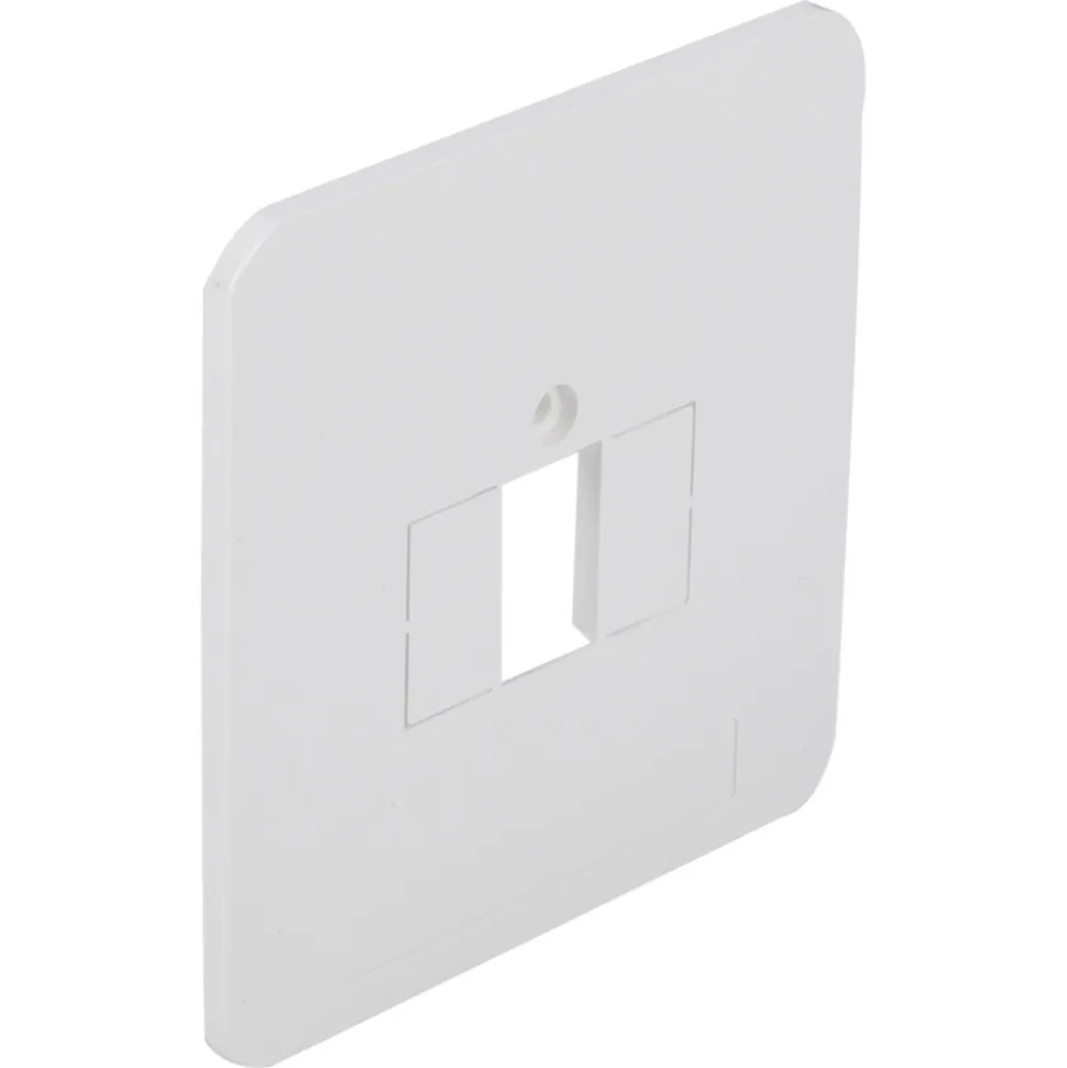 Peha Standaard Afdekplaat TAE/UAE/USB/Luidsprekers Polarwit