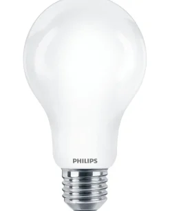 Philips LED Lamp Peer 150W E27 Koelwit Mat