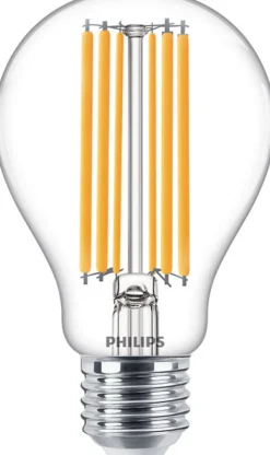 Philips LED Lamp Peer 120W E27 Warmwit Helder