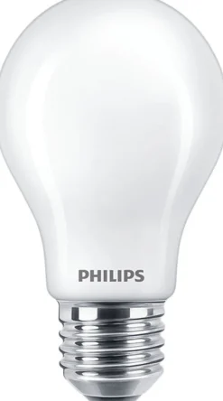 Philips LED Lamp Peer 60W E27 Warmwit Mat