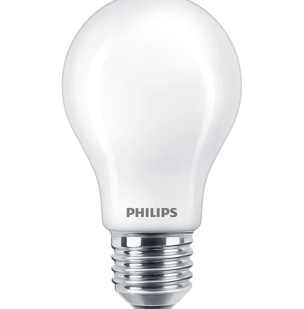 Philips LED Lamp Peer 40W E27 Warmwit Mat 2st