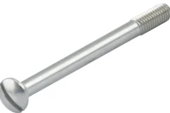 Schroef RVS M6x70 mm t.b.v. veiligheidsbeslag, 3 stuks