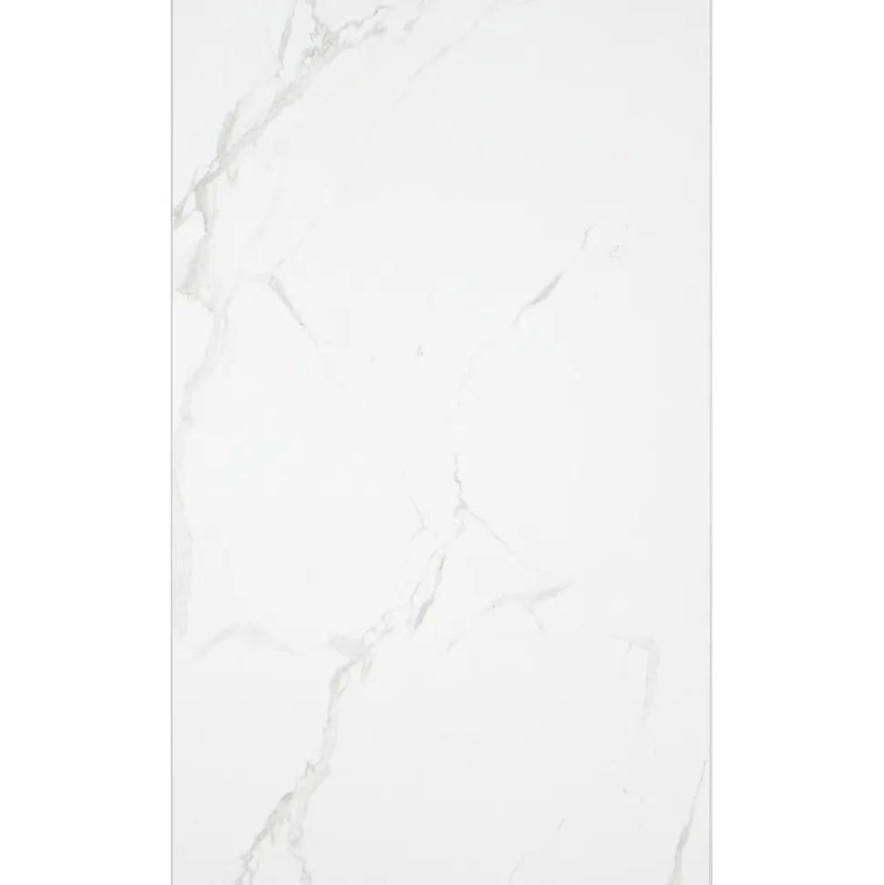 SPC Wandpaneel Wit Marmerlook 1200x600x4mm 4st 2,88m2