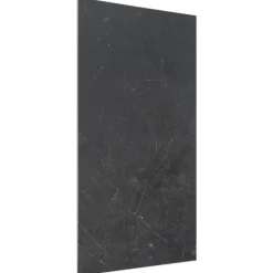 SPC Wandpaneel Zwart Natuursteenlook 1200x600x4mm 4st 2,88m2