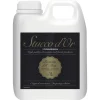 Stucco d'Or Coating Protecto 1K Binnen Mat Transparant 1L