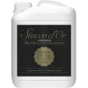 Stucco d'Or Coating Protecto 1K Binnen Mat Transparant 2,5L