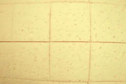 Super Prof Schoonmaakspons Kunststof 4mm Ingesneden Compleet Met Handgreep