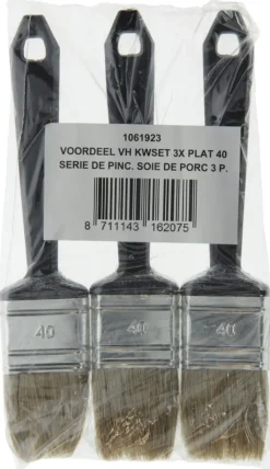 Wegwerp Kwastenset Plat 3st