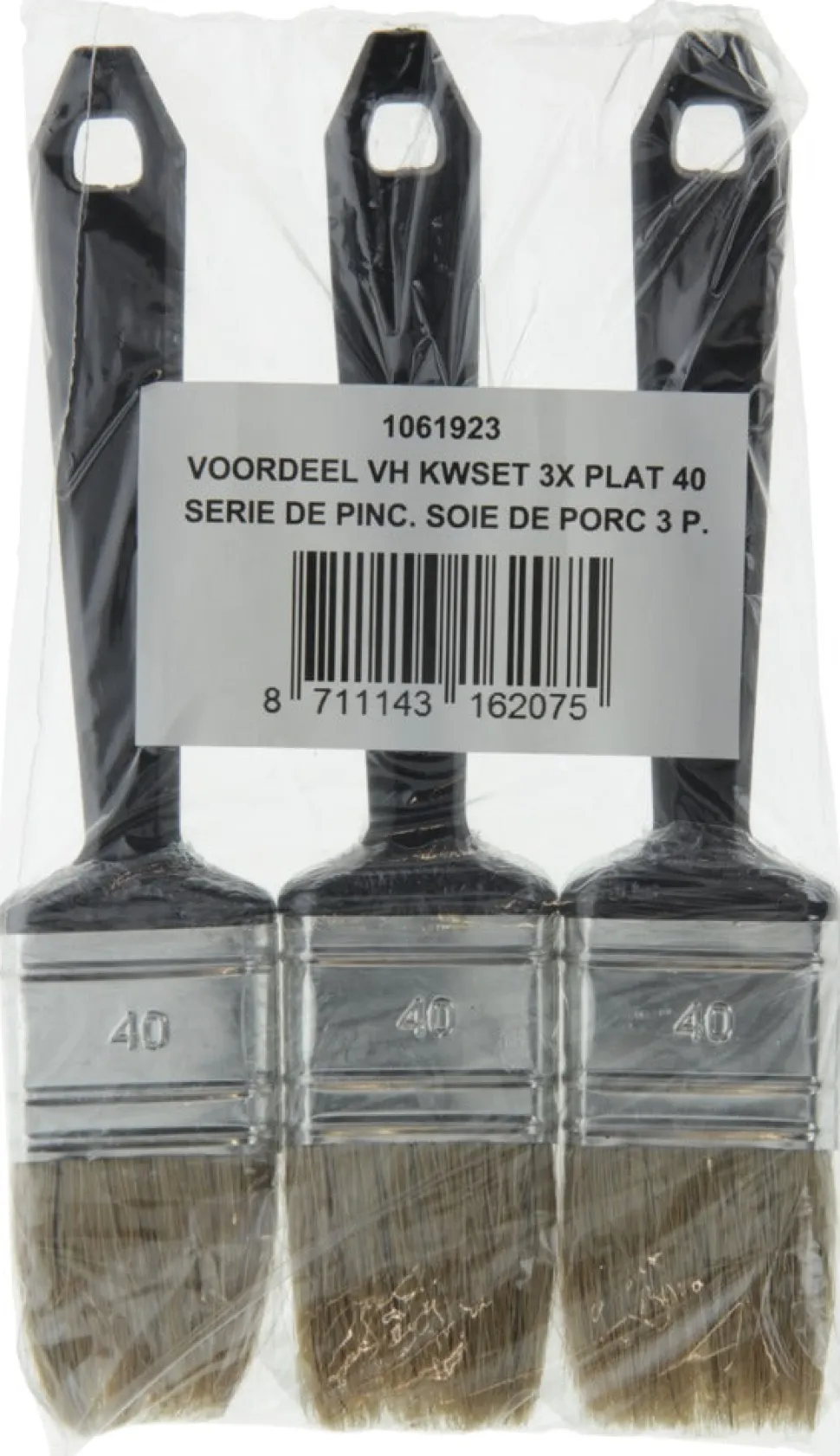Wegwerp Kwastenset Plat 3st