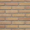 Wienerberger Gevelsteen Beige Rood Vormbak Waalformaat 210x100x50mm
