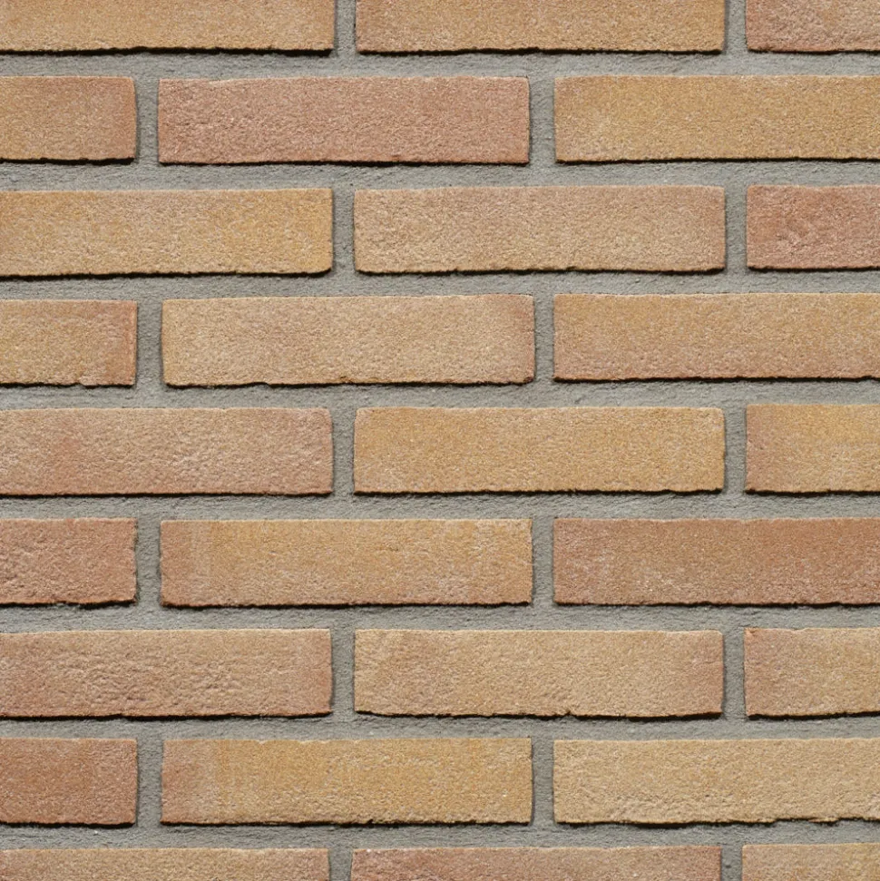 Wienerberger Gevelsteen Beige Rood Vormbak Waalformaat 210x100x50mm