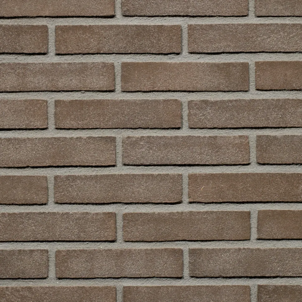 Wienerberger Gevelsteen Bruin Zwart Vormbak Waalformaat 210x100x50mm