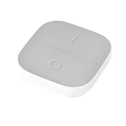 WiZ Portable Button Wit