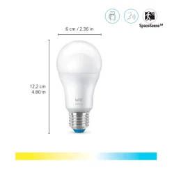WiZ Slimme LED-Lamp E27 60W Filament A60 Warm tot Koelwit Licht Transparant 2st