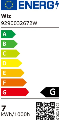 WiZ Slimme LED-Lamp E27 40W Globe Filament G95 Gekleurd en Wit Licht Transparant