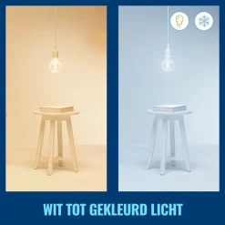 WiZ Slimme LED-Lamp E27 40W Globe Filament G95 Gekleurd en Wit Licht Transparant