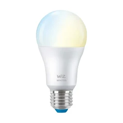 WiZ Slimme LED-Lamp E27 60W Lamp Warm tot Koelwit Licht Mat