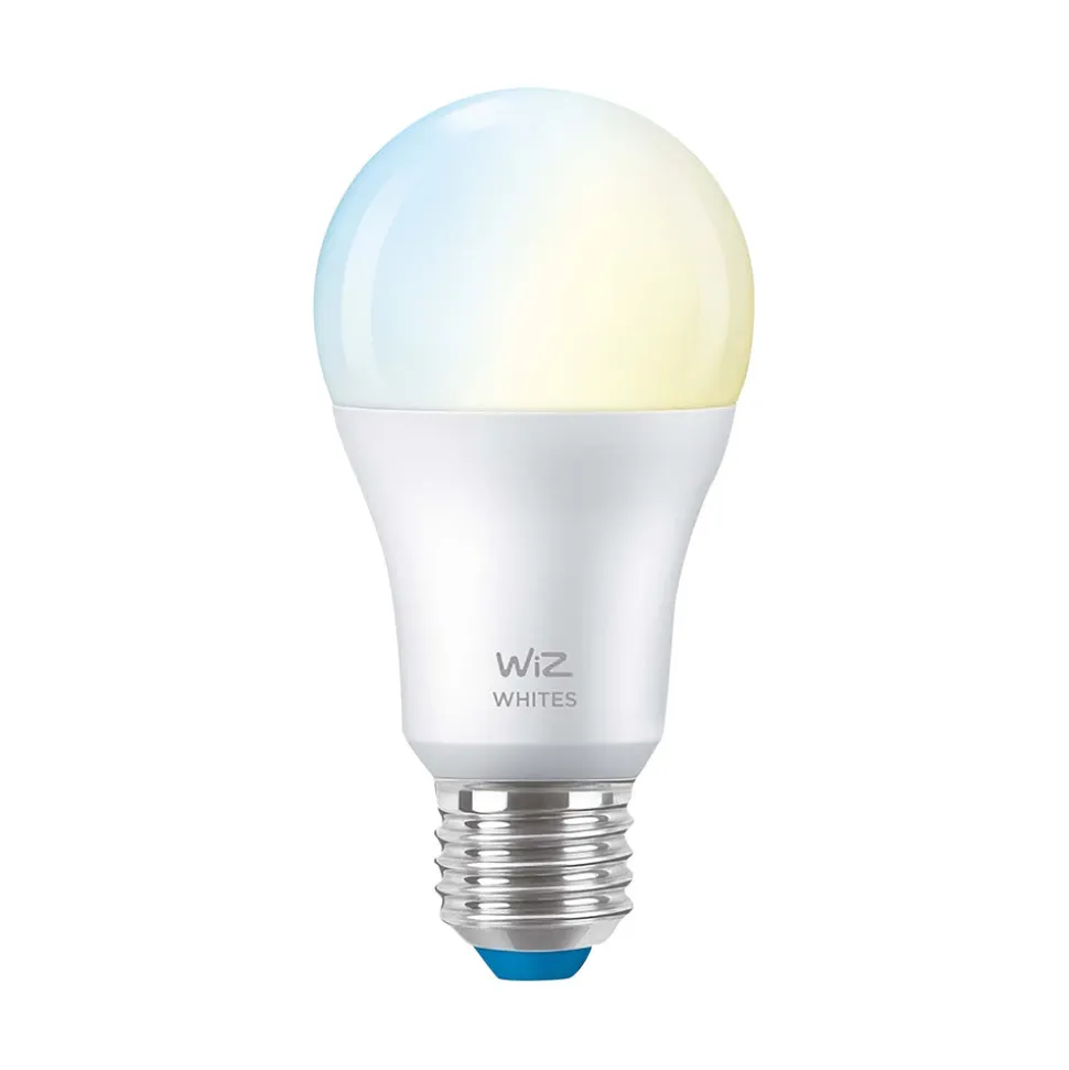 WiZ Slimme LED-Lamp E27 60W Lamp Warm tot Koelwit Licht Mat