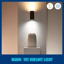 WiZ Slimme LED-Wandlamp Up and Down GU10 5W Gekleurd en Wit Licht Zwart 2st
