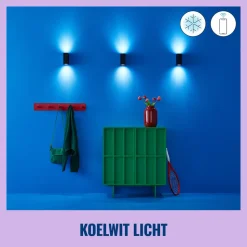 WiZ Slimme LED-Wandlamp Up and Down GU10 5W Gekleurd en Wit Licht Zwart 2st